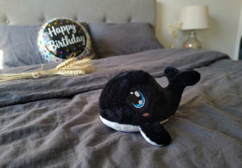 ballenita-negra-de-peluche-regalo-original.jpeg