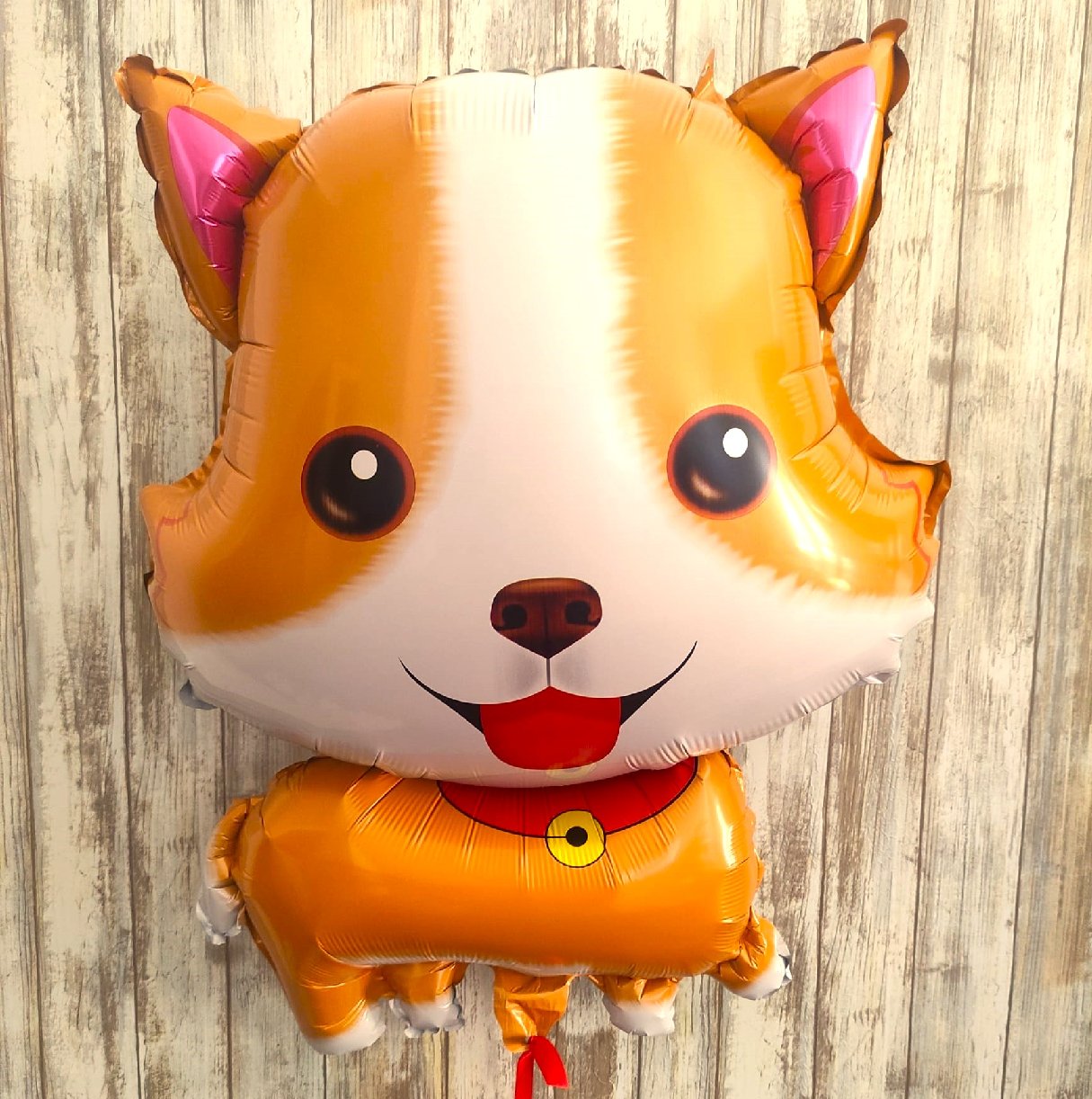 Globo Perrito con Helio